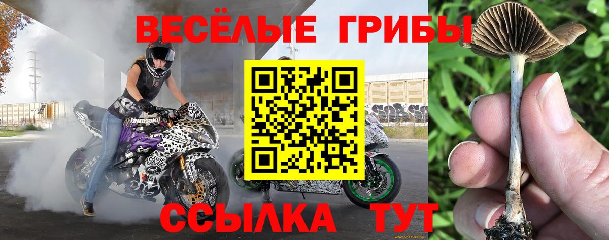 Галлюциногенные грибы GOLDEN TEACHER Новочебоксарск